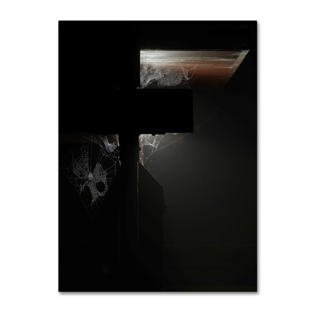 Trademark Fine Art